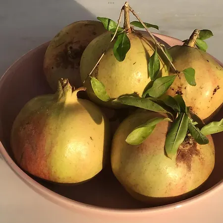 Lemon House 2 * Kefalion
